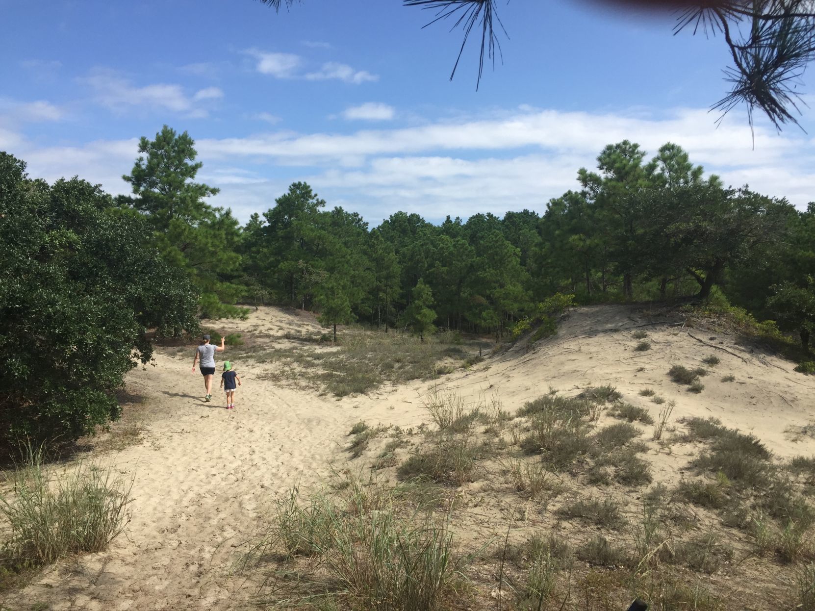 False Cape State Park